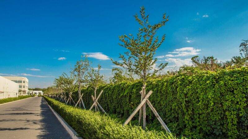 8188www威尼斯-8188www威尼斯正式版下载V4.6.7